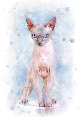 Canadian sphynx cat art