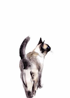 Watercolor Siamese Cat Art