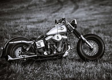 Harley Davidson