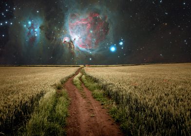 The Galaxy Field