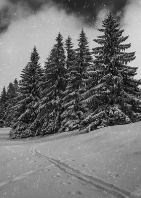 Footprints in snow