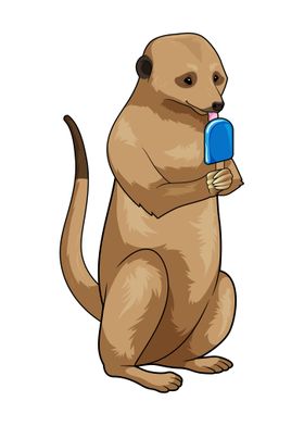 Meerkat Popsicle