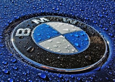 BMW Logo