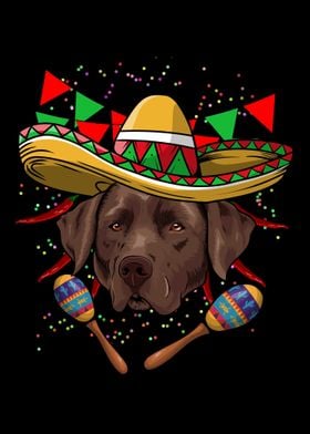 Cinco De Mayo Labrador