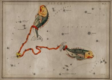 Pisces constellation