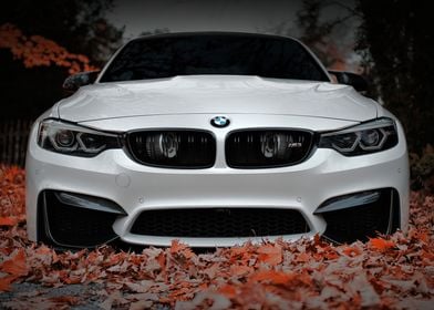 BMW Car