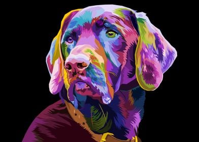 colorful Beagle dog