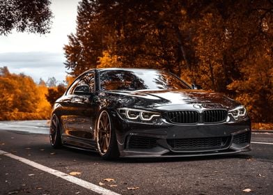 BMW Car