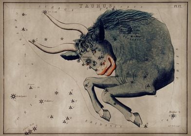 Taurus constellation