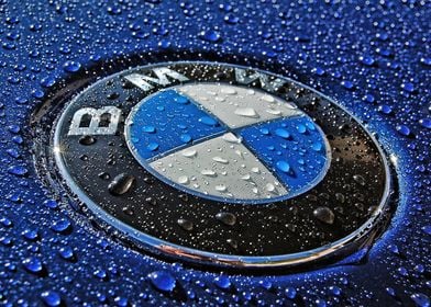 BMW Logo