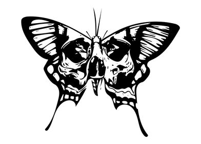 Moth Line Art Minimal
