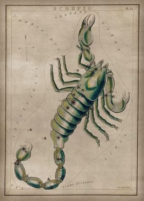 Scorpio constellation