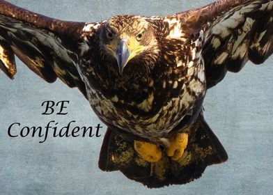 Be Confident Bald Eagle 