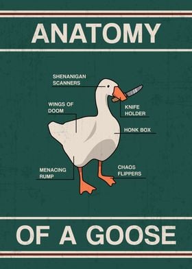 anatomy of mischief goose