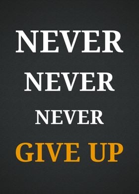 Never Give Up