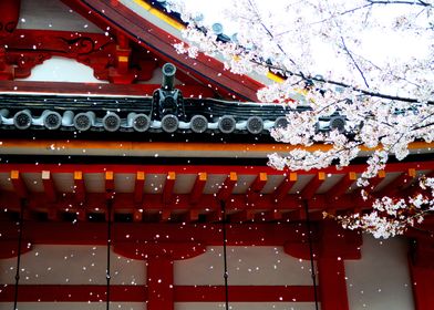 Cherry Blossom Temple 