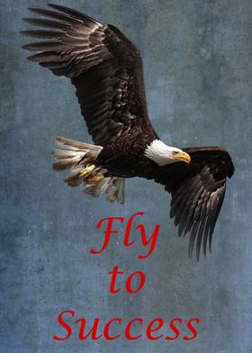 Fly to Success