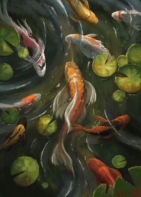 Koi