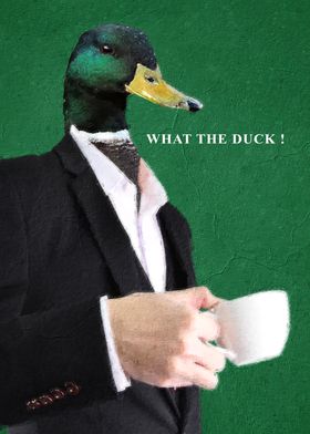 Duck Meme