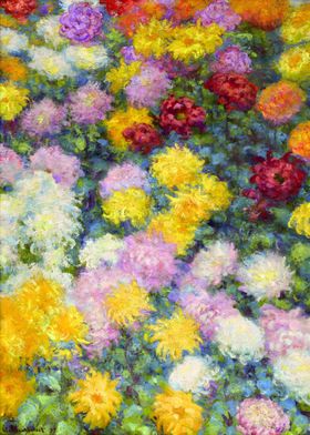 Chrysanthemums 1897