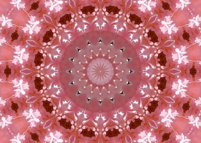 Lacy flower kaleidoscope 7