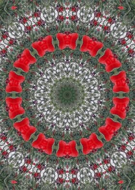 Red poppy Kaleidoscope 1