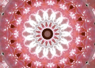 Lacy flower kaleidoscope 5