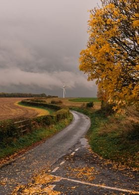 Autumn Country Lane