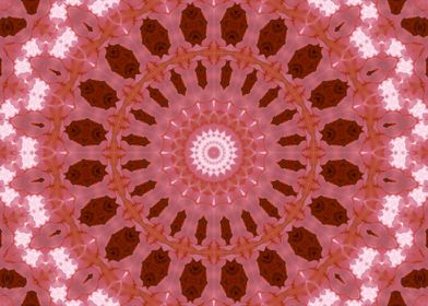 Lacy flower kaleidoscope 6