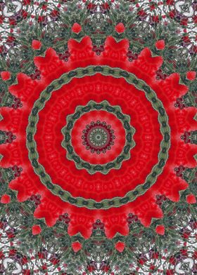 Red poppy Kaleidoscope 1