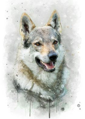 Czeslovakian Wolfdog art