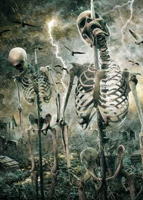 Field Of Bones