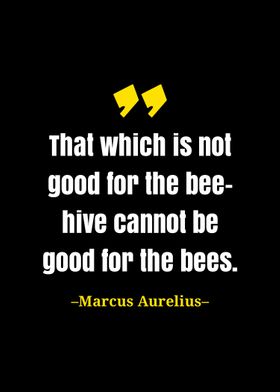 Marcus Aurelius quote