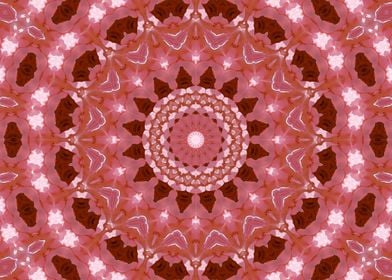 Lacy flower kaleidoscope 6