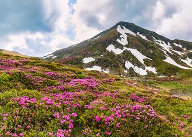 mountains