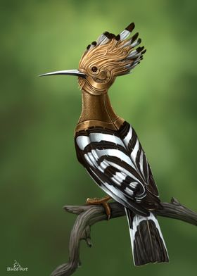 Hoopoe