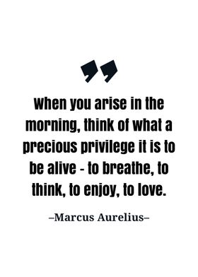 Marcus Aurelius quote