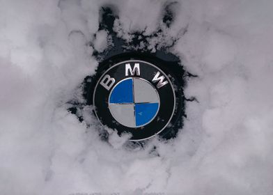 BMW E39 Emblem