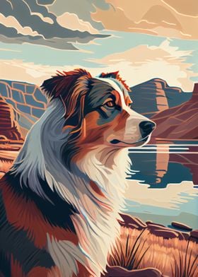 Australian Shepherd Colorf