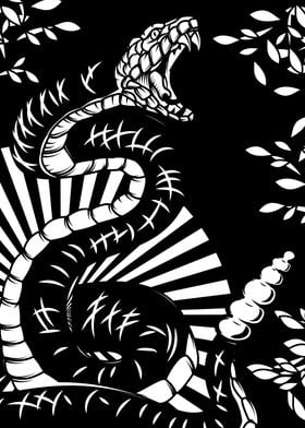 Black and White Snake