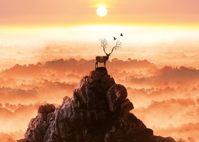 Deer on Sunny Mountain Top