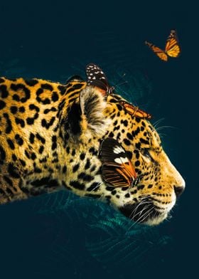 Leopard Animal Butterfly