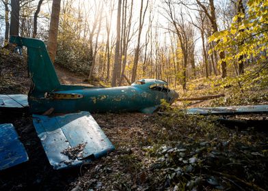 Abandoned blue plane