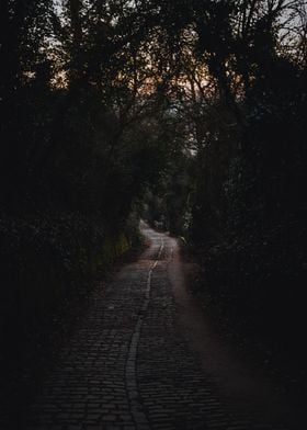 paved roadway in sunset