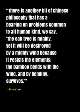 Bruce Lee quotes 