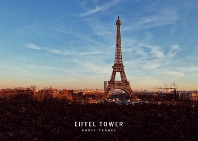 Eiffel Tower  