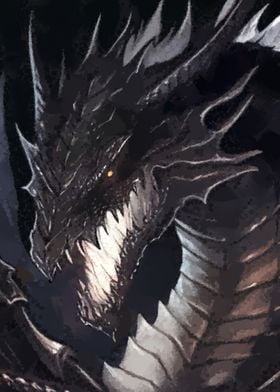 Black dragon