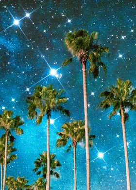 Palm Trees In Space 