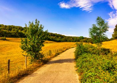 Santiago road landscape