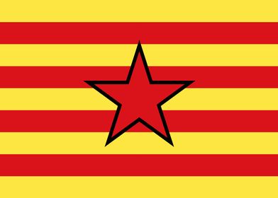 Estrelada Aragonesa Flag